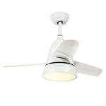 Modern Upgrade 3 Color Adjustable Light Ceiling Fan Ultra Silent For Kids Room