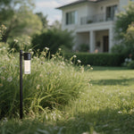 Modern LED Path Light with Clear Glass Shade for Garden Walkways