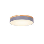Lighting Ceiling Lights Flush Mount Lighting_4Wqar