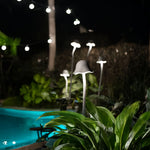 Modern LED Pathway Lights for Outdoor Landscapes, IP65 Waterproof Aluminum