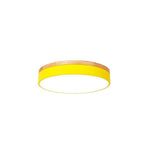 Lighting Ceiling Lights Flush Mount Lighting_4Wqar
