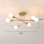 Aurelia Six-Light Globe Chandelier in Black and Gold