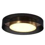 Nordic Round Dimmable Led Ceiling Lights Flush Mount Lighting With Remote Control