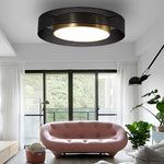 Nordic Round Dimmable Led Ceiling Lights Flush Mount Lighting With Remote Control