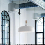 18 Acorn Pendant Light