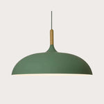 Modern Simple Dome Pendant Light