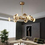 Lighting Ceiling Lights Chandeliers_55Ike