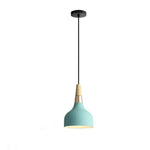 Lighting Ceiling Lights Pendant Lighting_4Pycn