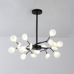 Lighting Ceiling Lights Chandeliers_53P9Q