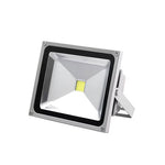 Outdoor Landscape Flood Light with Adjustable Color Temperature