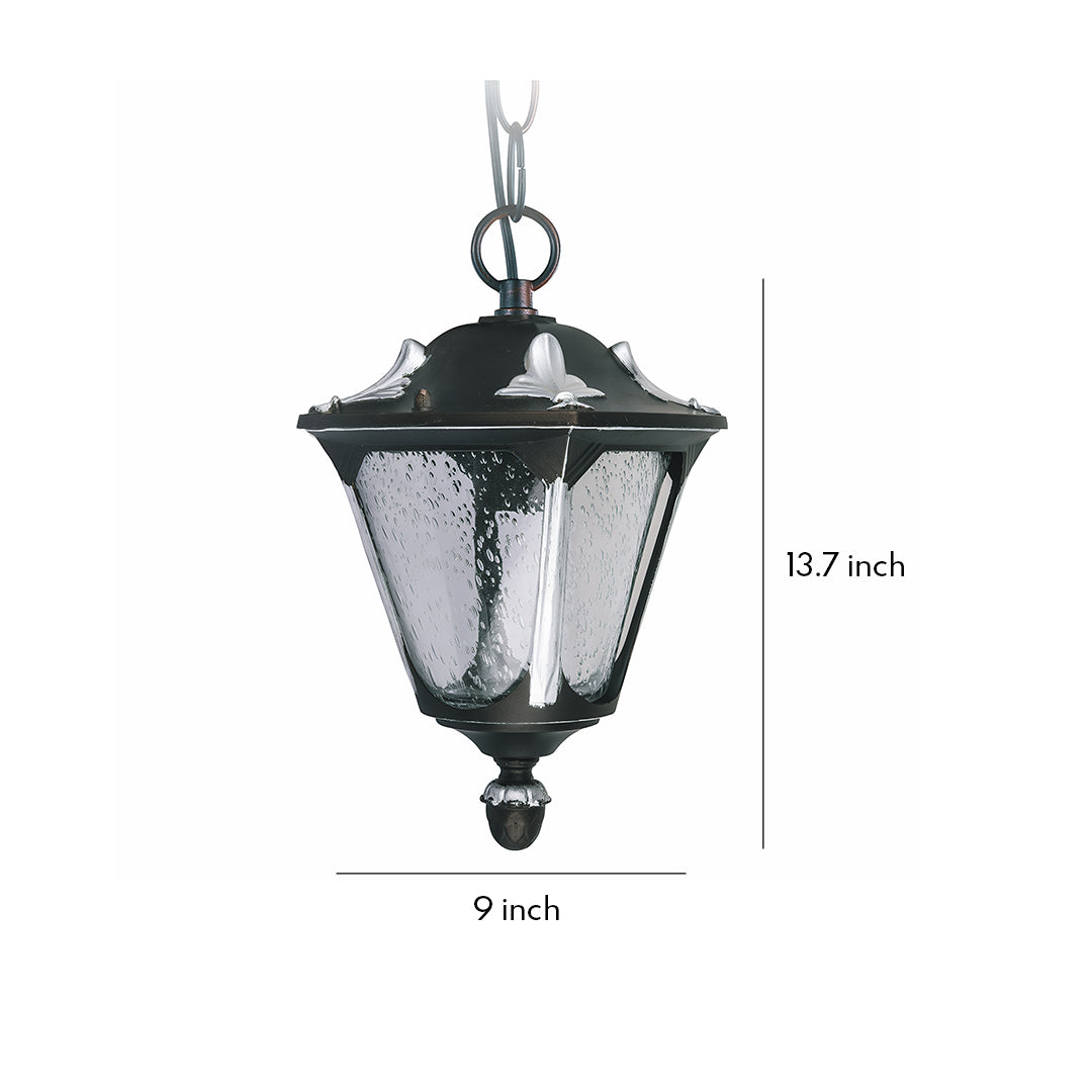 Modern Minimalist Outdoor Pendant Light with Clear Glass Shade