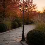 Modern Outdoor Post Light with Clear Glass Shade for Garden and Pathway