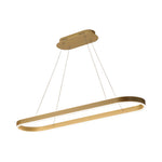 Oval LED Pendant Light in Aluminum for Modern Interiors