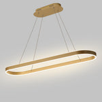 Oval LED Pendant Light in Aluminum for Modern Interiors