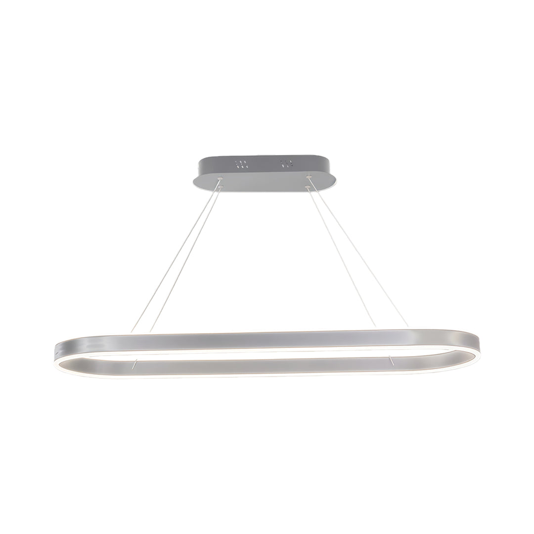 Oval LED Pendant Light in Aluminum for Modern Interiors