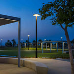 Architectural LED Street Light – Solar & Hardwired Outdoor Pole Lighting