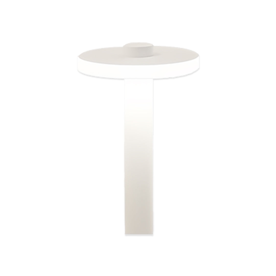 Aurora Path Light – Modern Waterproof LED Landscape Bollard for Garden Walkways