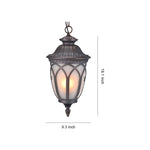 Outdoor Pendant Light with Adjustable Chain, IP44 Waterproof Lantern