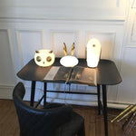 Pet Light