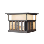 Modern Stainless Steel Outdoor Pillar Lights for Gateposts and Courtyards