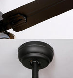 Glass Ball Ceiling Fan light