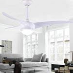 Indoor Ceiling Fan Light