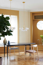 Apiales Chandeliers