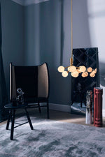 Apiales Chandeliers