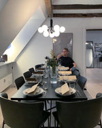 Apiales Chandeliers