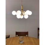 Apiales Chandeliers