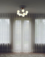 Apiales Chandeliers