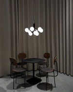 Apiales Chandeliers