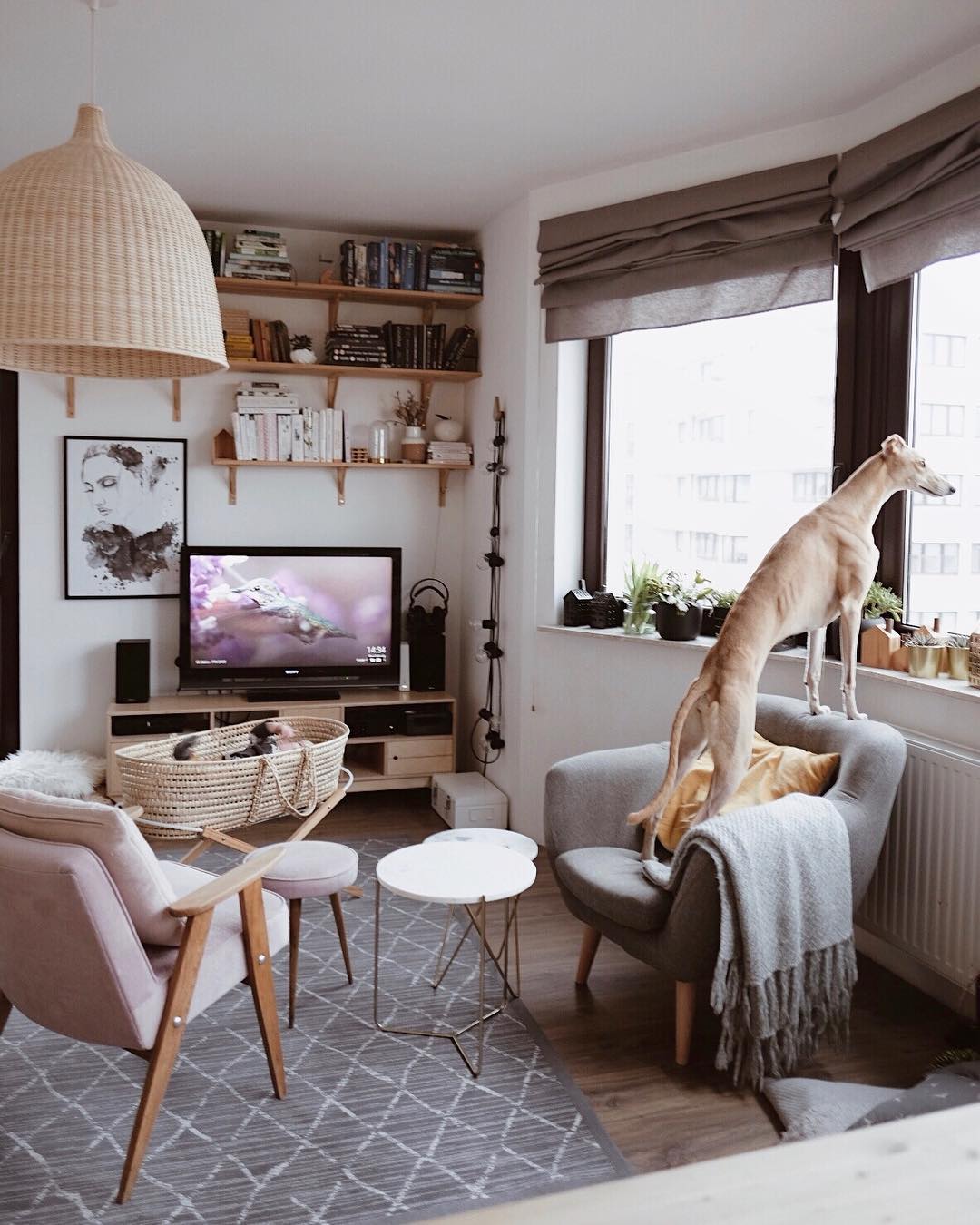 Rattan Pendant Light