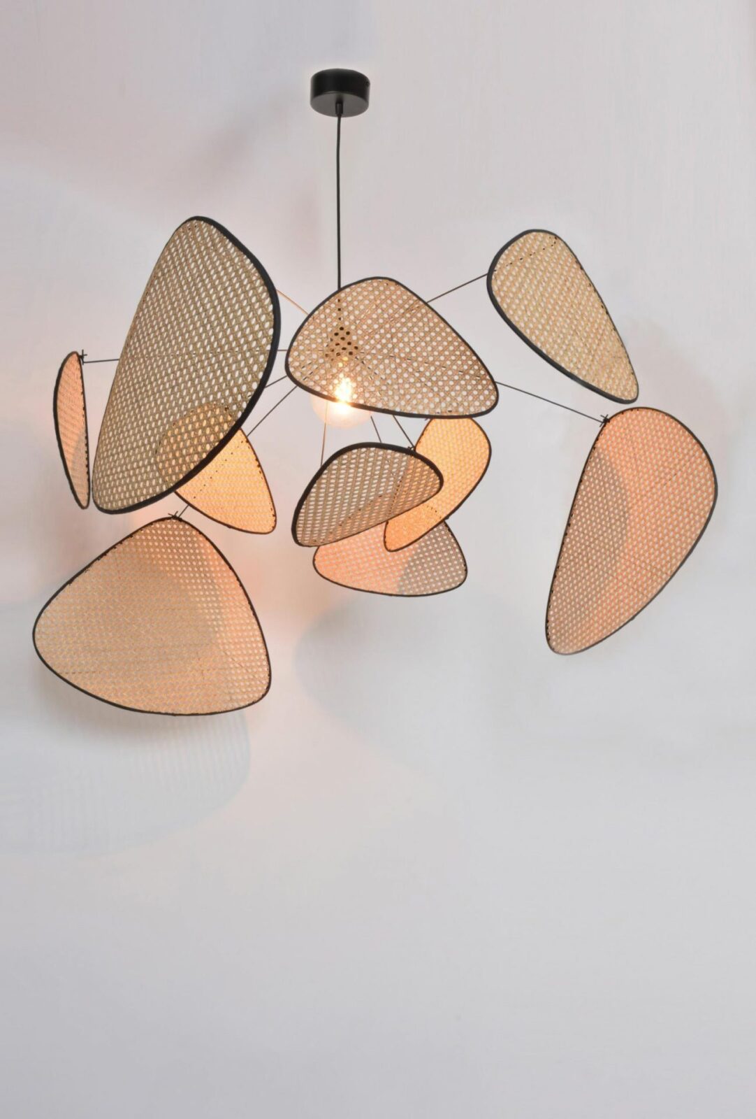 Suspension Screen Cannage