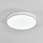 Lighting Ceiling Lights Flush Mount Lighting_3Xte8