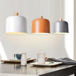 Lighting Ceiling Lights Pendant Lighting_4Fplh