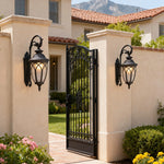 Chestnut Aluminum Outdoor Wall Sconce with Clear Glass Shade