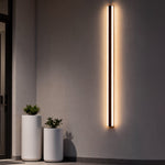 Luma Linear RGB LED Outdoor Wall Light in Stainless Steel