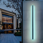 Luma Linear RGB LED Outdoor Wall Light in Stainless Steel