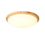 Lighting Ceiling Lights Flush Mount Lighting_52Yac
