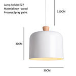Lighting Ceiling Lights Pendant Lighting_4Fplh