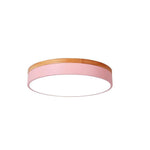Lighting Ceiling Lights Flush Mount Lighting_4Wqar