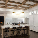 Lighting Ceiling Lights Pendant Lighting_340Lt
