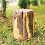 Sculptural Tree Stump LED Garden Light – Weatherproof Resin Landscape Lighting