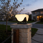 Modern Stainless Steel Solar Pillar Lights for Gate and Fence
