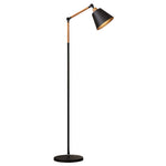 Modern Metallic Floor Lamp with Adjustable Arm for Living Room
