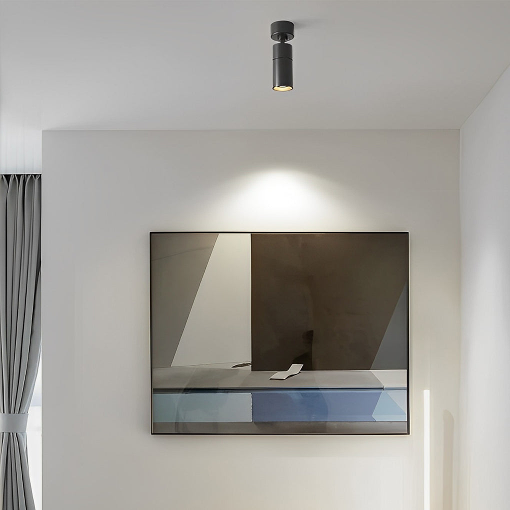 Modern Surface Mounted Spot Light with Adjustable Directional Head