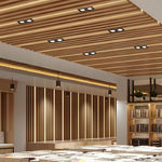 Modern Twin-Head Adjustable LED Recessed Ceiling Spotlight in Black or White