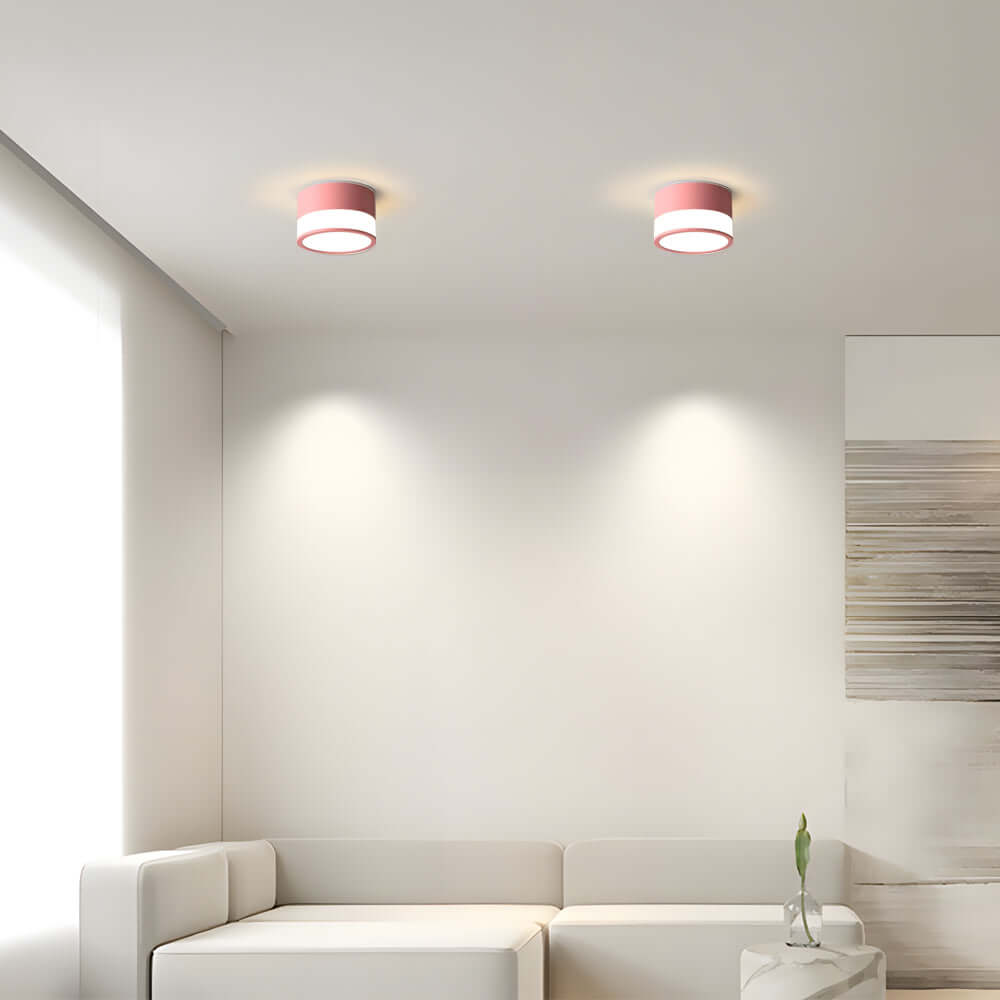 Modern Minimalist Round Flush Mount Ceiling Light with Acrylic Shade