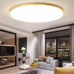 Lighting Ceiling Lights Flush Mount Lighting_50Hn0